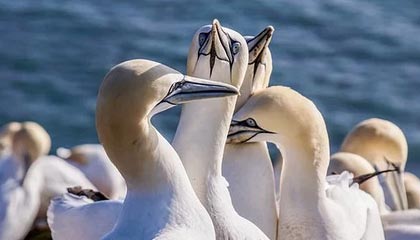 亚博体育官网-爱游戏体育：让电竞激情融入日常运动的全新生活方式