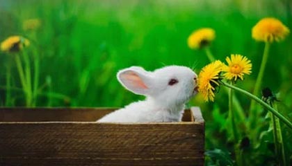 离美加墨世界杯开幕还有9个月，义乌商户已接到不少订单